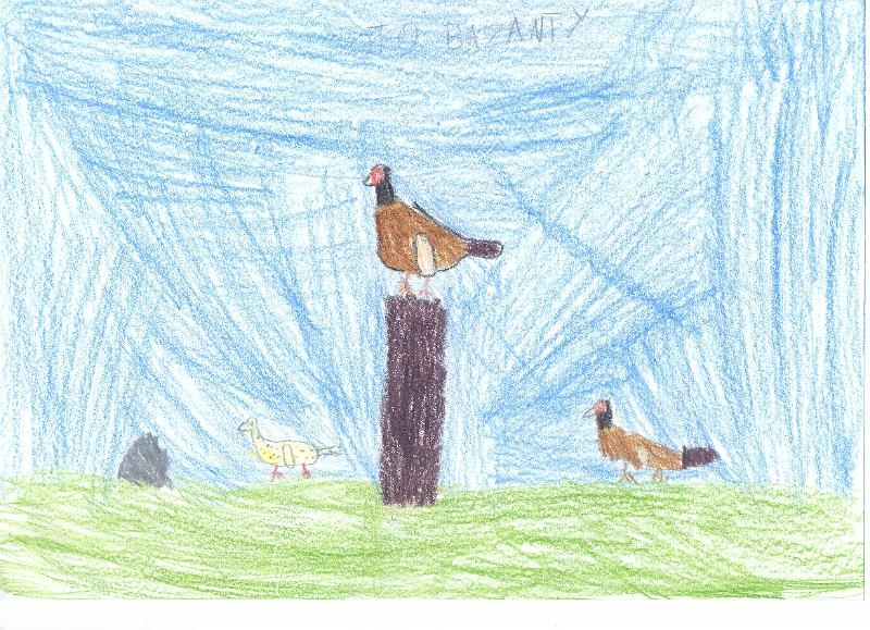 Kacper R